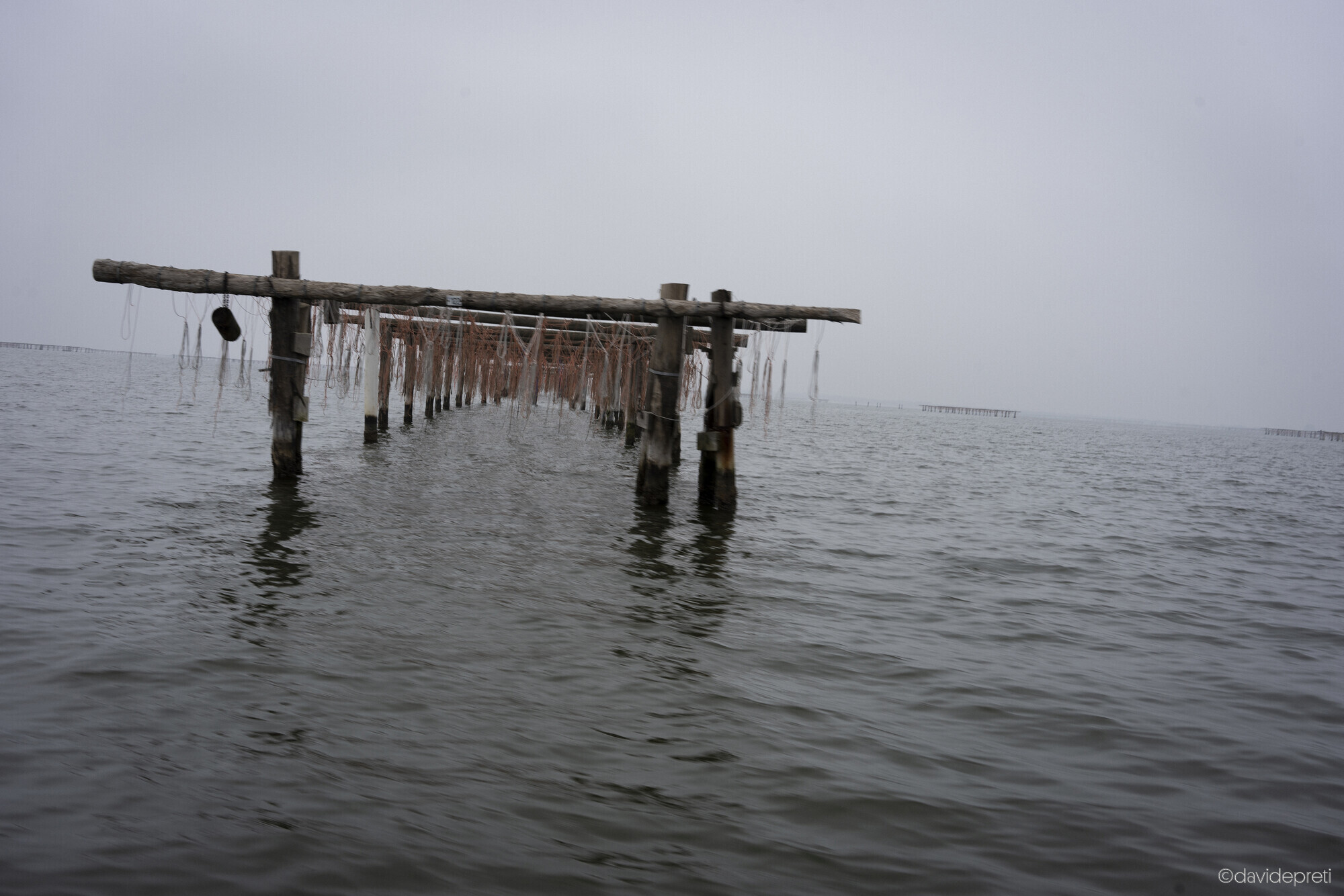 Scardovari Lagoon, Italy — November 8, 2024.

Abandoned wooden pile structures once used for traditional mussel farming, standing in the waters of the Po Delta near Porto Tolle — destroyed by the invasive blue crab.
