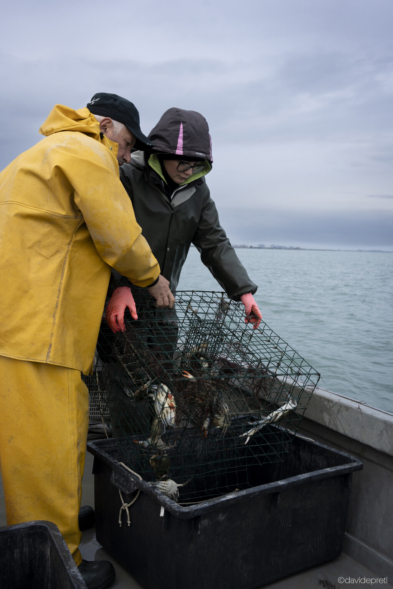 Scardovari Lagoon, Italy — December 4, 2024.

Massimo and his daughter Meri pulling blue crabs from a trap, harvesting the predatory species together after the collapse of the local shellfish sector.
