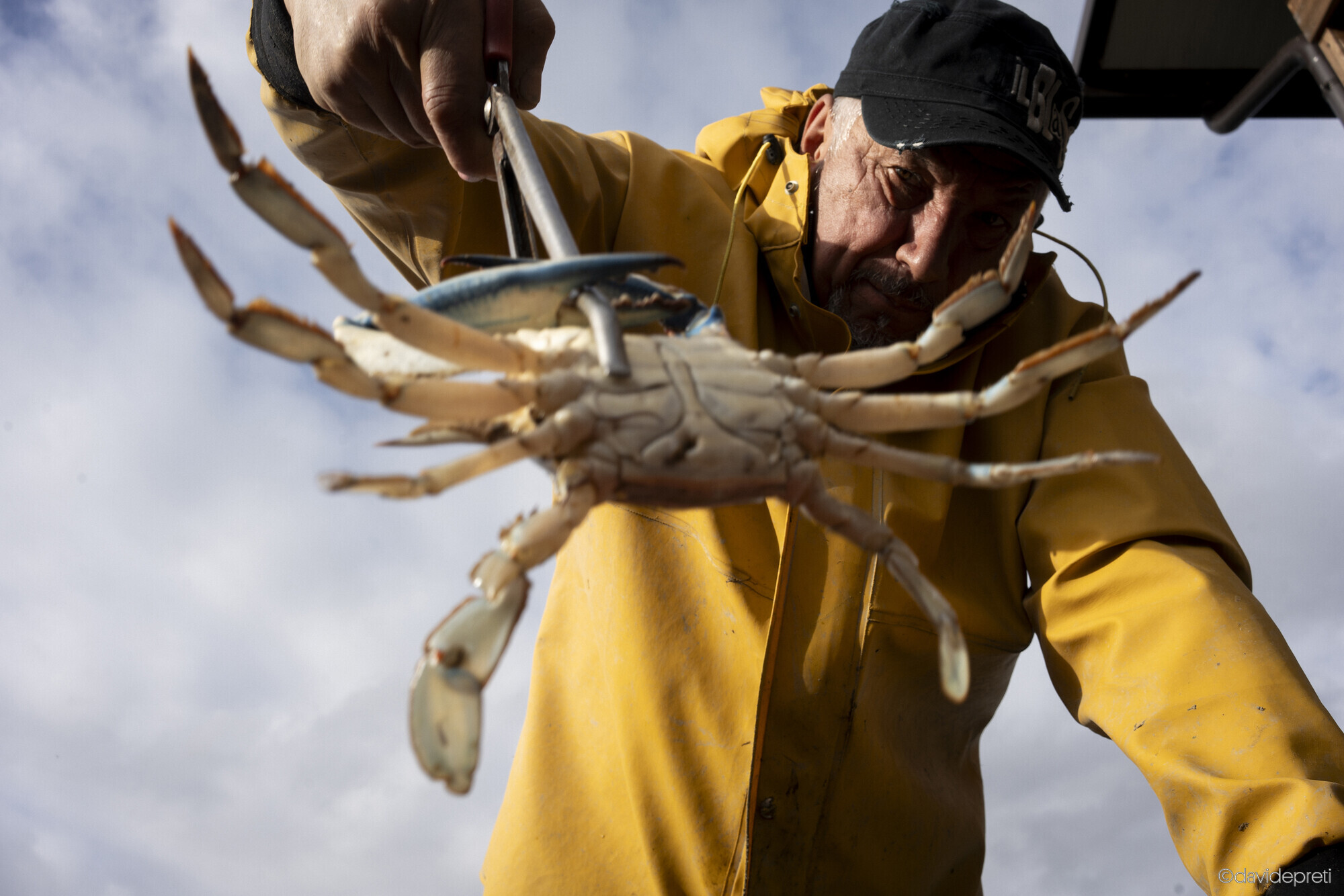 Scardovari Lagoon, Italy — December 4, 2024.

Massimo sorting blue crabs by size with specialized tongs, grading the catch for different market segments.
